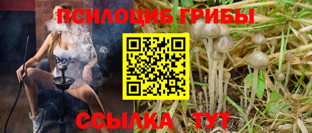Ялта  как найти   Вход с VPN  Псилоцибиновые грибы ЛСД 