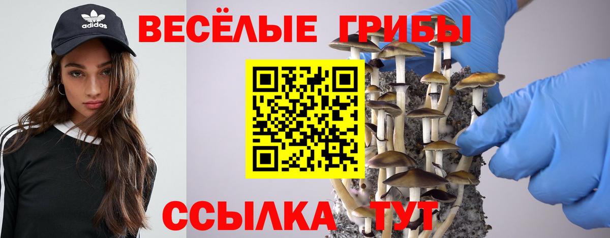 Псилоцибиновые грибы GOLDEN TEACHER Ялта